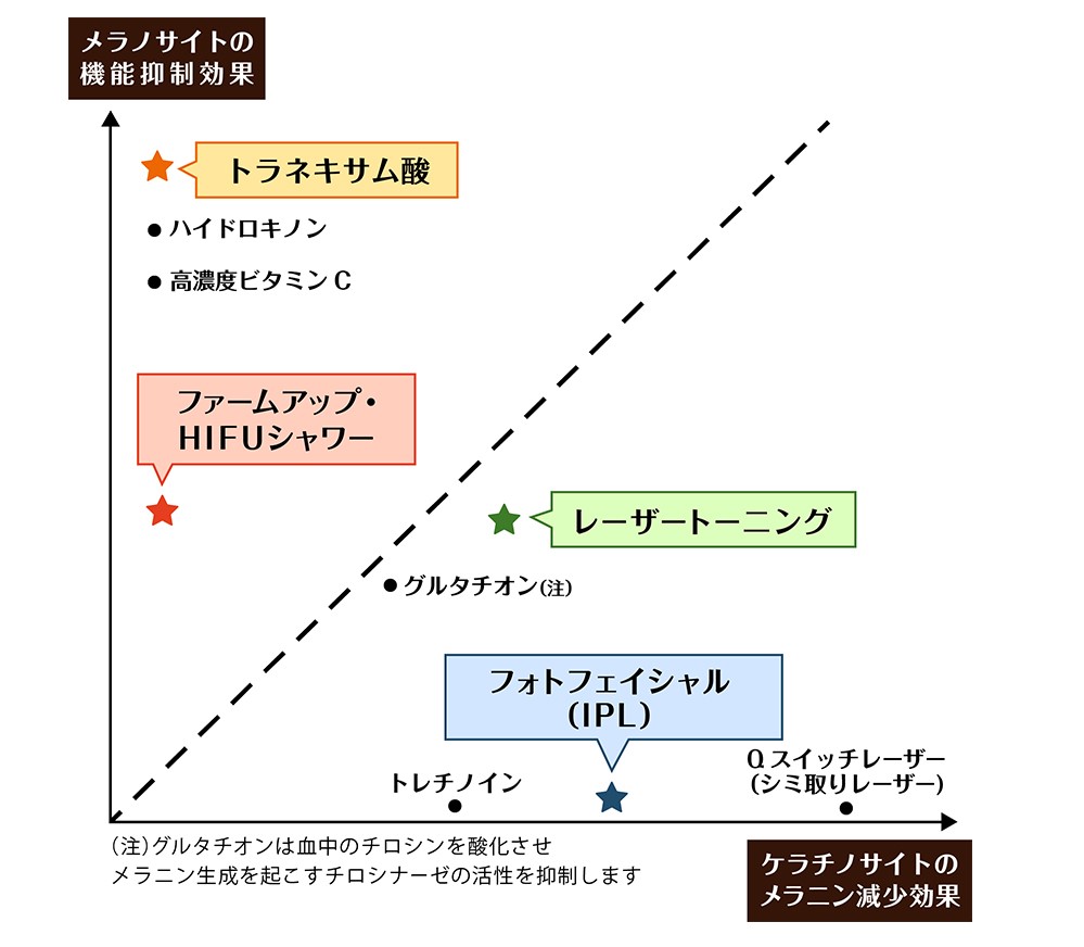 トータルスキンプログラム解説